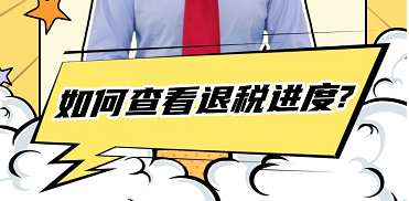 如何查看退税进度